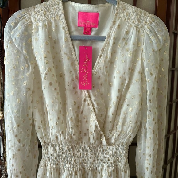 Lilly Pulitzer long dress - Picture 4 of 5